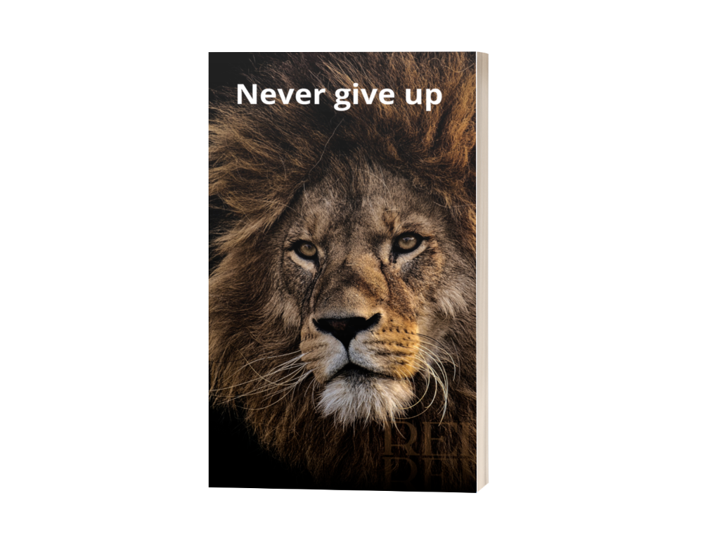 never_give_up__10934