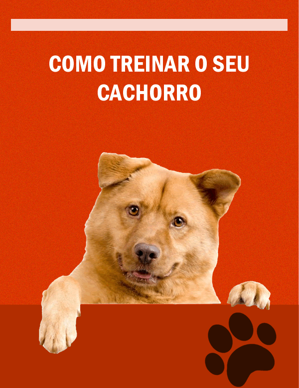 como_treinar_seu_cachorro_10935