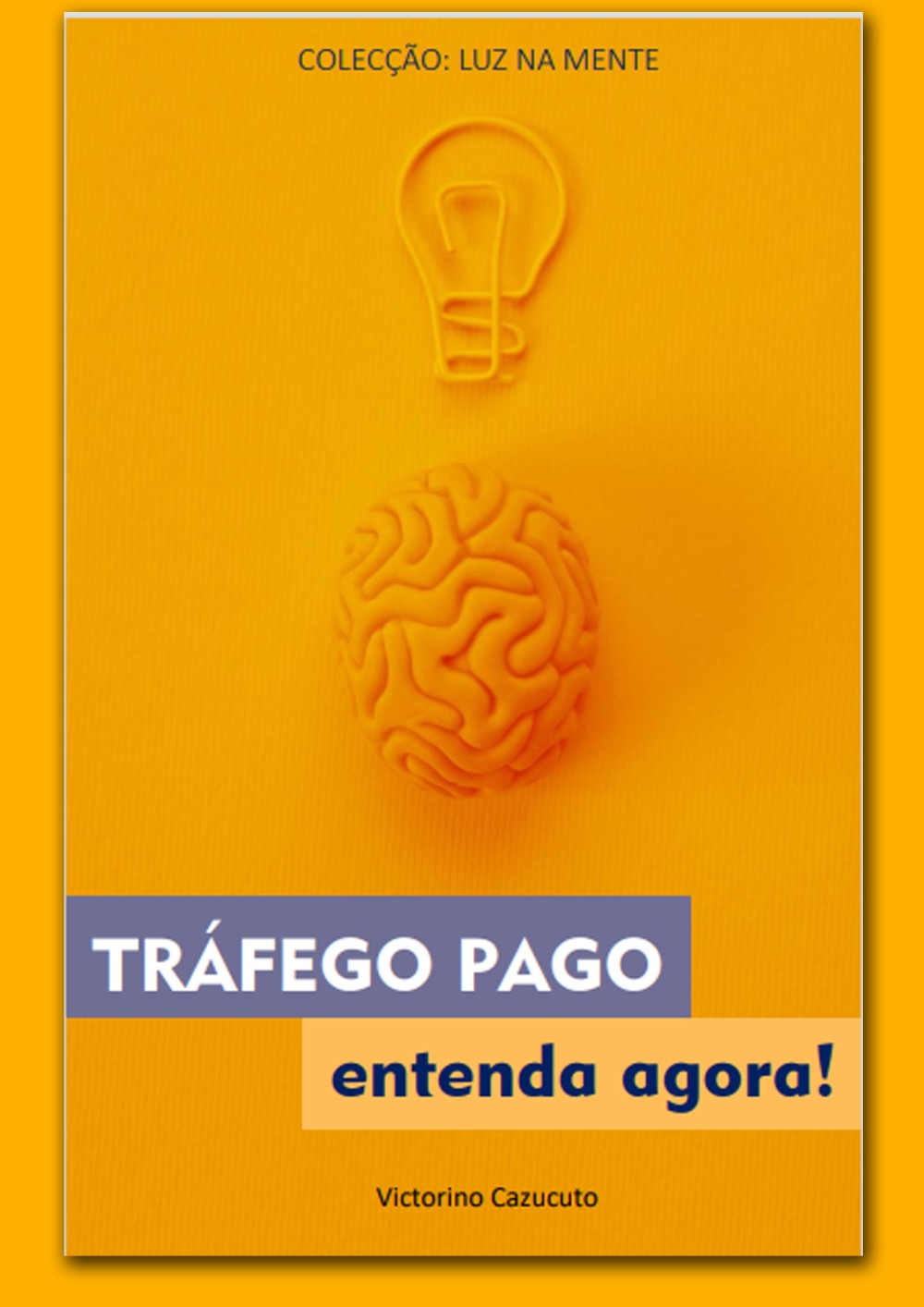 trafego_pago_entenda_agora_1161