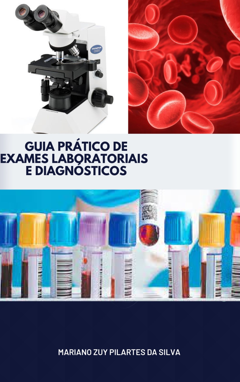 guia_pratico_de_exames_laboratoriais_e_diagonosticos_1283