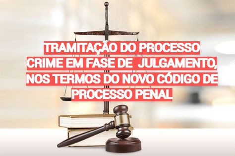 tramitacao_do_processo_crime_em_fase_de_julgamento_nos_termos_do_novo_codigo_de_processo_penal_174