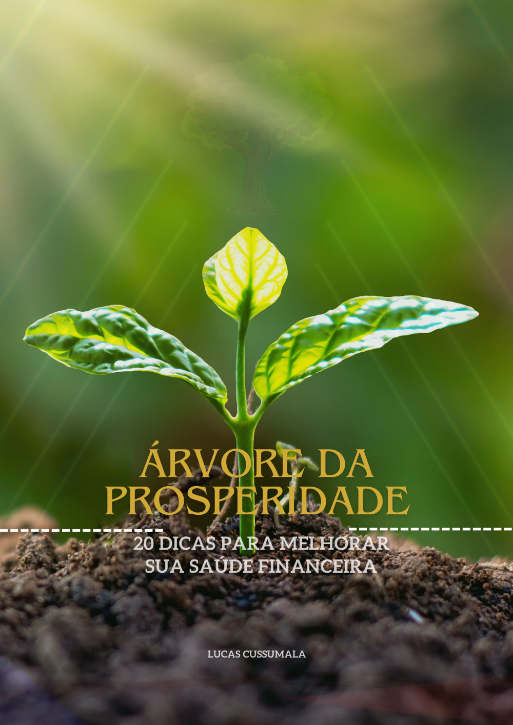 dicas_para_melhorar_suas_financas_4819