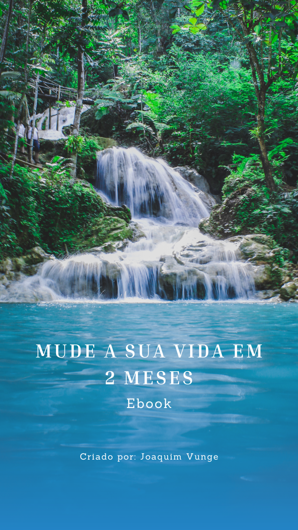 mude_a_sua_vida_em_2_meses_5012