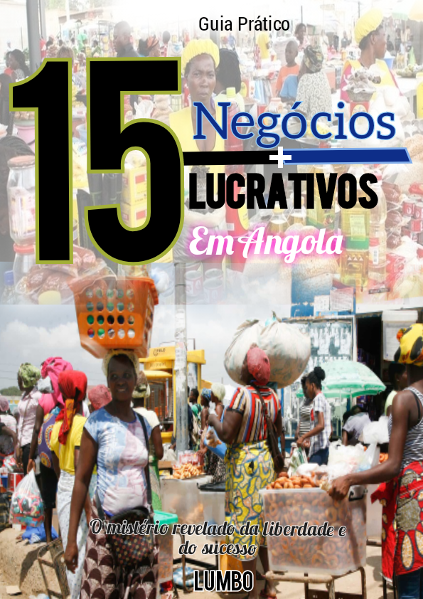 15_negocios_mais_lucrativo_em_angola_6822