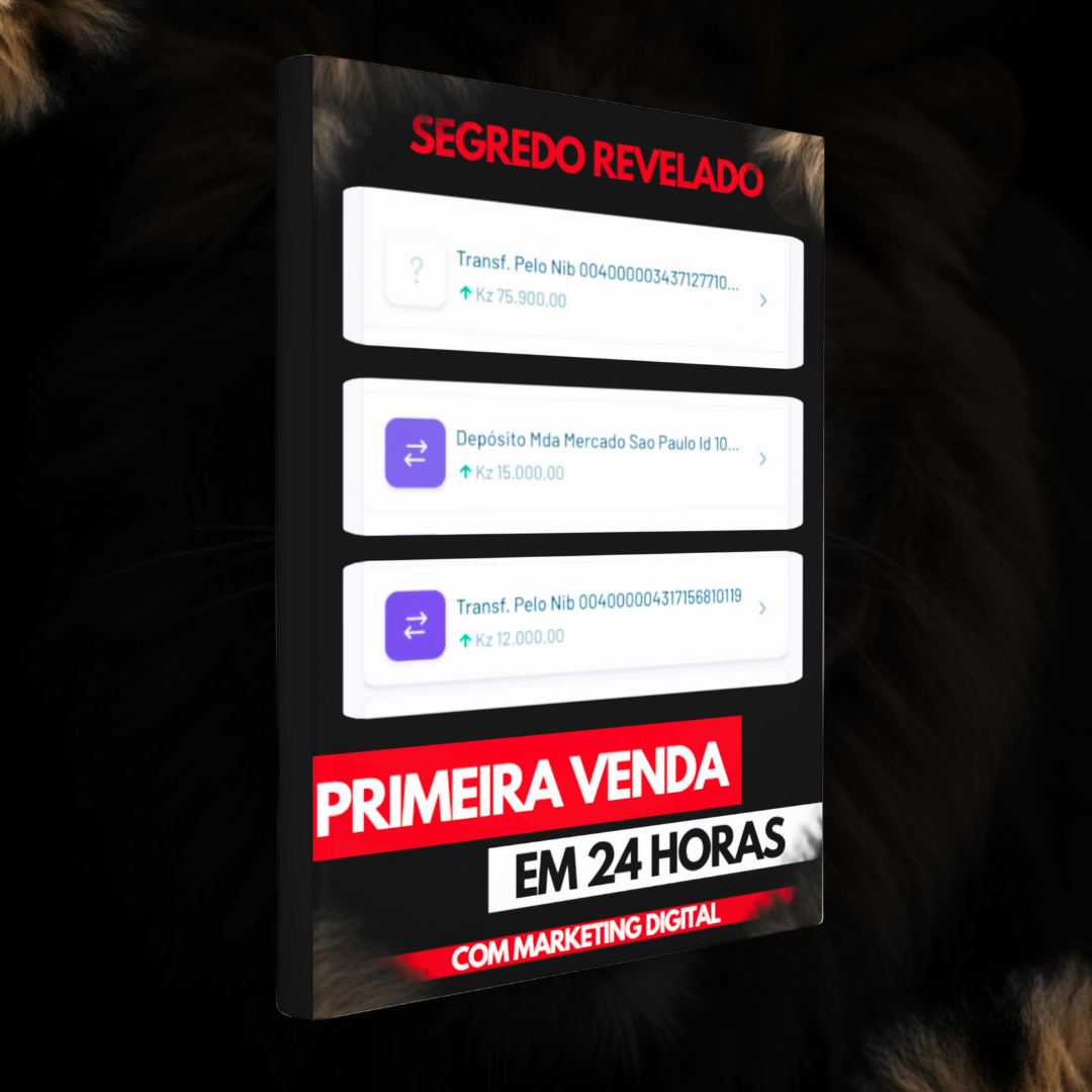 primeira_venda_em_24_horas_com_marketing_digital__8769