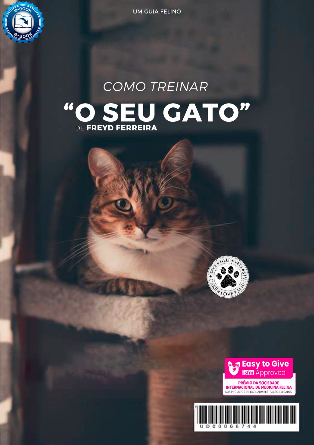 como_treinar_o_seu_gato__8831